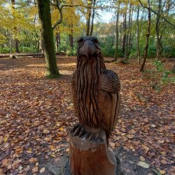 🌿Nature, Connection & Wellbeing for Local Businesses🌿