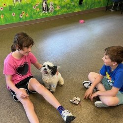 Camp PAWS - Winter Break Camp 2026