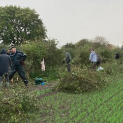Shocklach - post hedgelaying match tidy-up