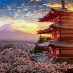 The Artist Dinner Date - The Span of Japan with Nishiki Sugawara-Beda