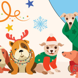 Santa Paws Gravesend 2026