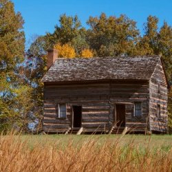 Log cabin in a clearing