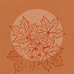 Autumn Equinox Celebration: Meditation, Ancient Wisdom, Reflection and Nature Connection