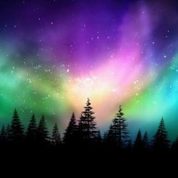 Northern Lights