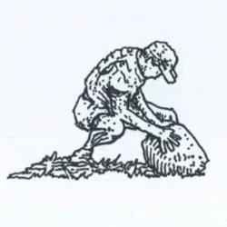 Site[Non-specific] — /mountain collective — Rhino Fest 2026