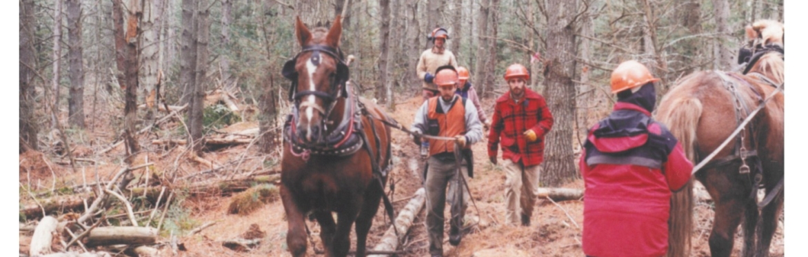 2026 Forest Tour Series: MOFGA's Unity Woodlot