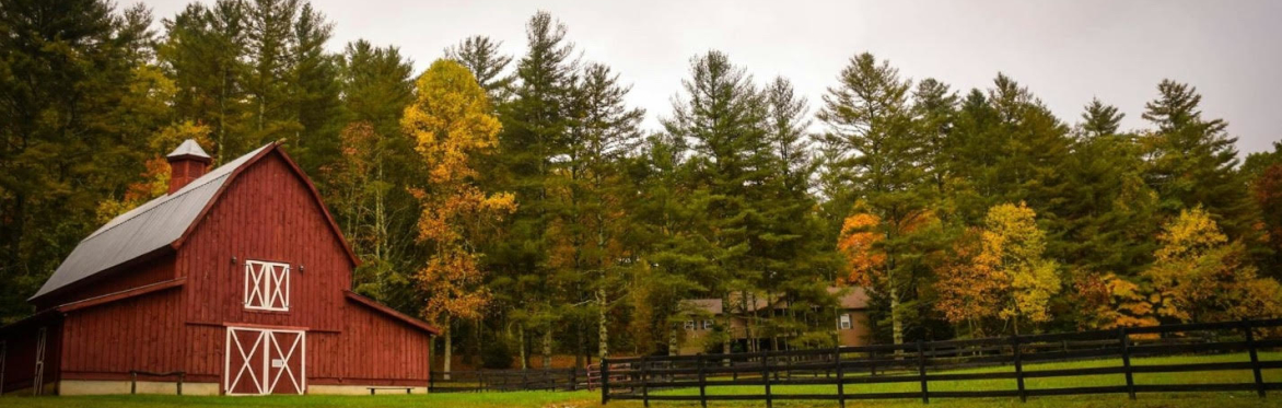Insight: 6-Day Retreat with nico + devon in Nashville, TN, USA