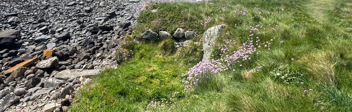 Walk: Trebarveth and Lowland Point, St Keverne with Charlie Johns