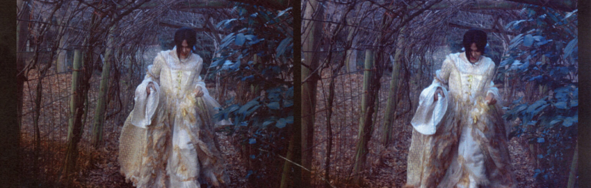 Transfixions with Shola von Reinhold and Skye Arundhati Thomas