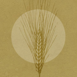 Harvest Celebration - Lammas: Ancient Wisdom, Guided Meditation, Nature Connection and Self-Reflection