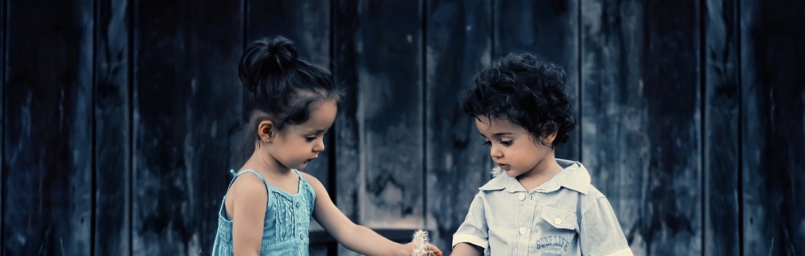 Two young children are playing. A girl holding a bag offers a boy a flower