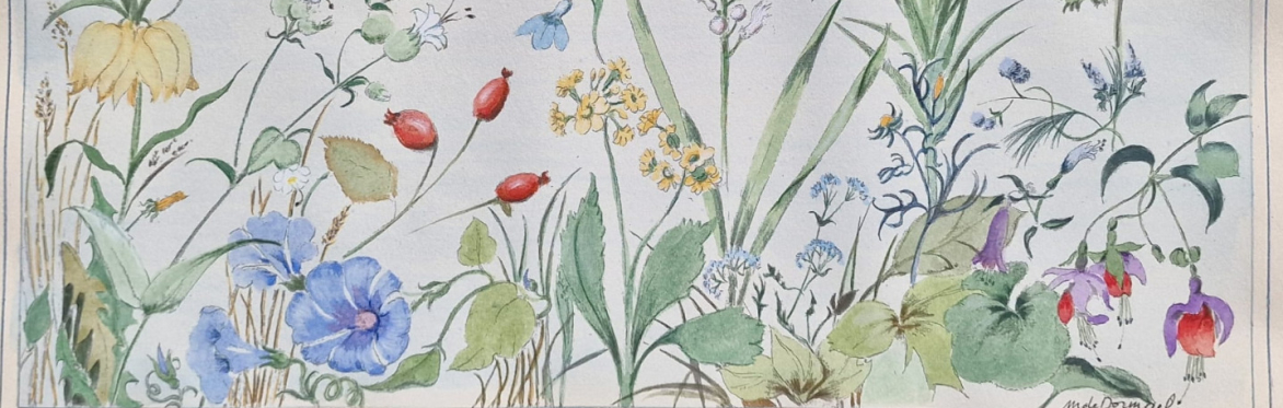 Atelier de dessin dans les Jardins de William Christie
