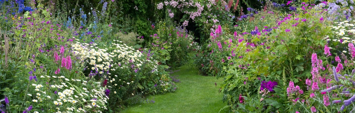 Thakeham Open Gardens