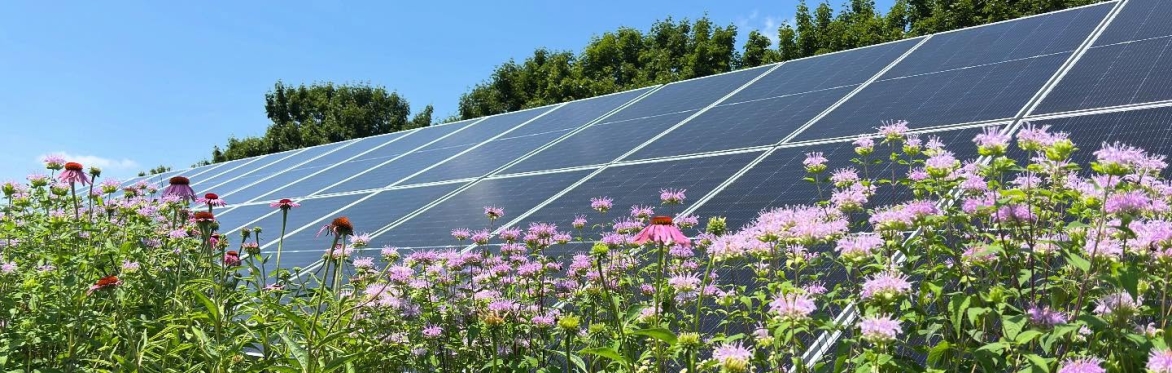 Washtenaw Solarize