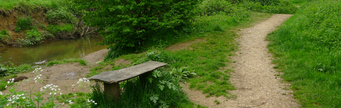 A Walk for Clean Water