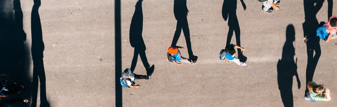 Build Momentum - working through your B Corp assessment