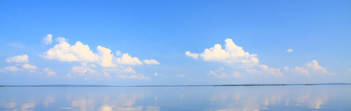 Clarity of the Mind ~ half day course in York