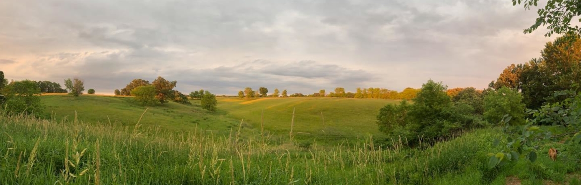 Bridging Dreams: Transitioning Singing Hills Farm Fundraiser