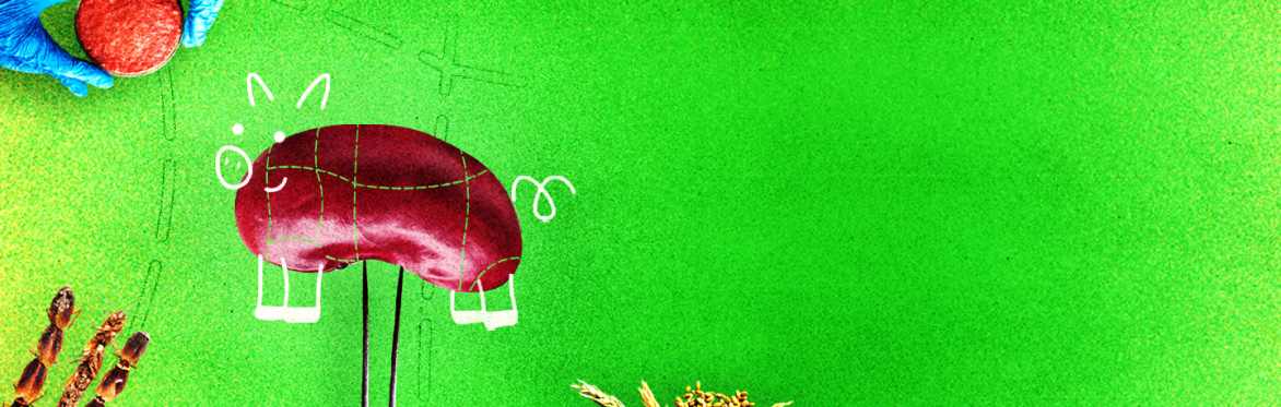 Meat the Future? A discussion on the role of meat alternatives in contributing to Europe’s climate and health goals