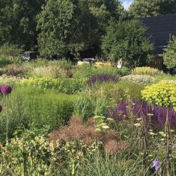 Serge Hill Project Planting Course