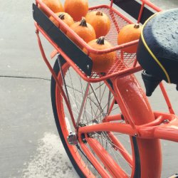 Halloween Bikefest! Bike repair, activities, food + a fancy dress bike ride!