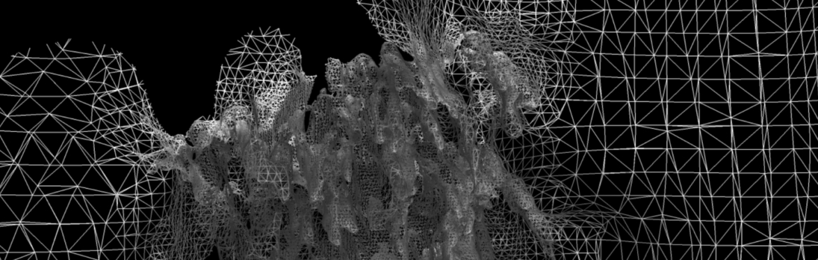 Ana-Cartography and its Provocations