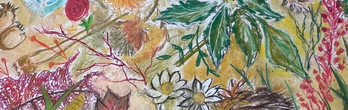 Mindful collaborative drawing at Stream Walk Community Garden