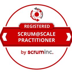 Registered Scrum Master@Scale