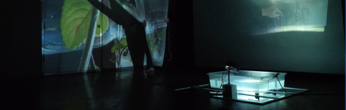EmmaGrace Skoves-Epes: Fluid Exchange