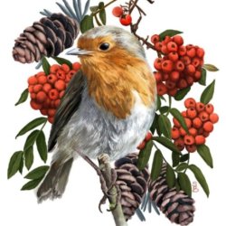 Create your own Christmas Cards.