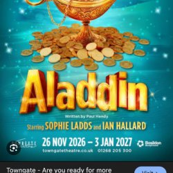Panto aladdin relaxed performance