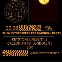 THE NEXT STEPPERS PRE-CARNIVAL PARTY