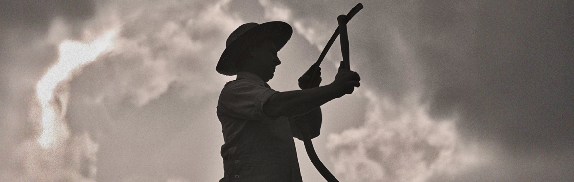Where are the Fellows who Cut the Hay? Paperback Book Launch & Film Event