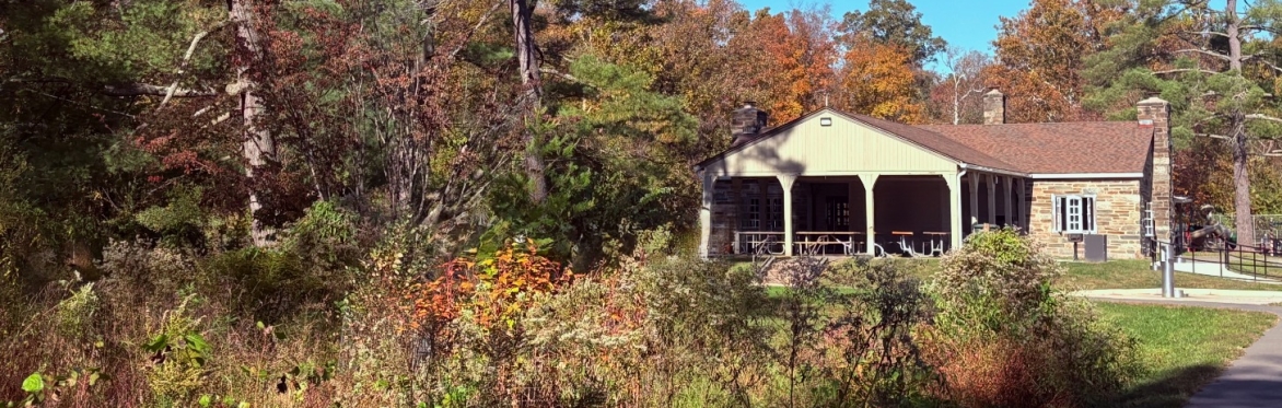 For Everything A Season: Planning & Discernment Workshop and Coaching