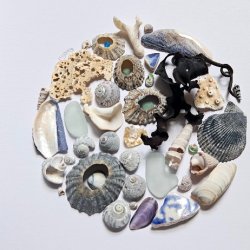 Shell & Sea Glass Framed Art Workshop