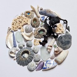 Shell & Sea Glass Framed Art Workshop