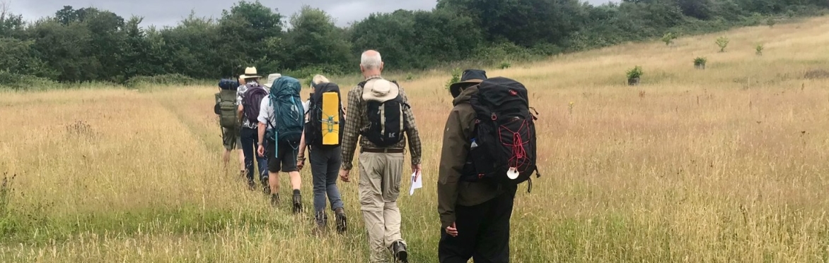 Walking as Pilgrims of Hope (online participation)
