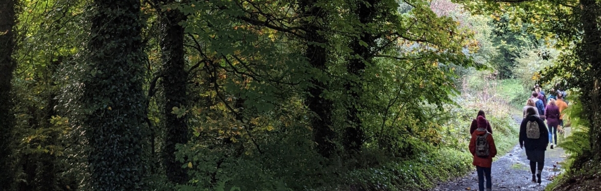 Tree Folklore and Identification Walk