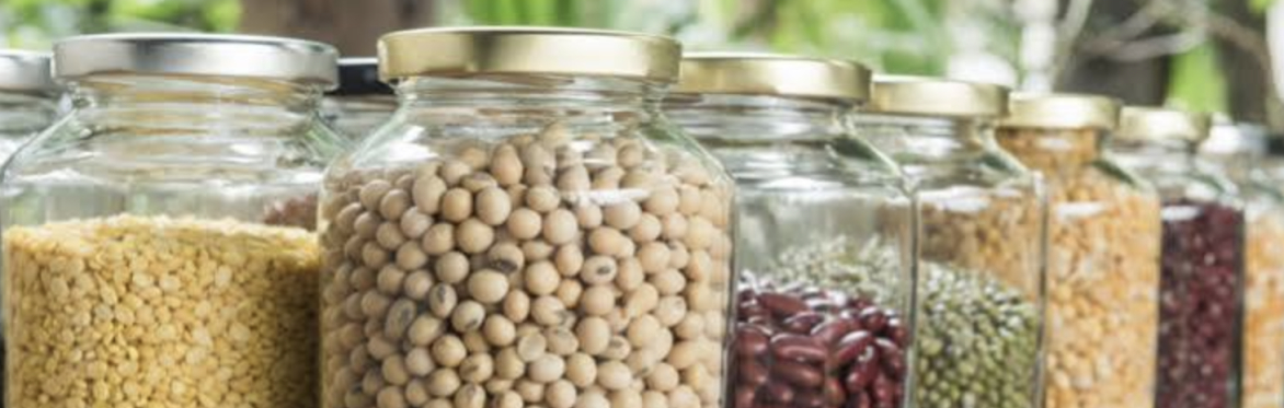 Lovebrook Seed Savers- November Meet up