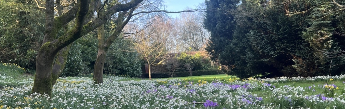 Sensing Nature: A Creative Writing Workshop