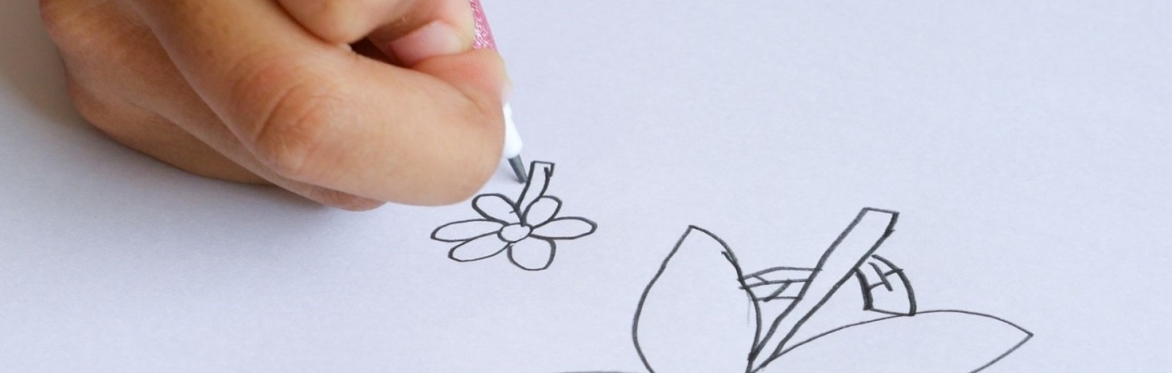 Nature's Hidden Patterns: A family workshop
