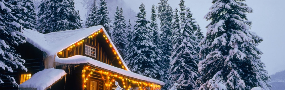 WINTER WONDERLAND