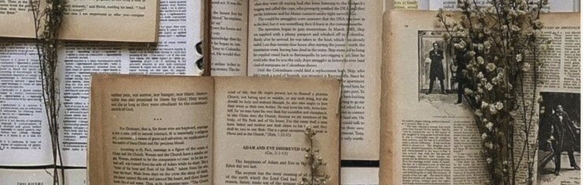 Erotic Storytelling: How to write good s*x scenes - WGB + Pimenta Cítrica