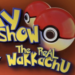 Academy Card Show hosted by The Real Wakkachu