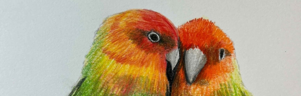Lovebirds with Coloured Pencil - Jonathan Newey
