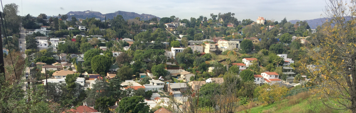 Hills and stairs Elysian Heights - 4.5 miles