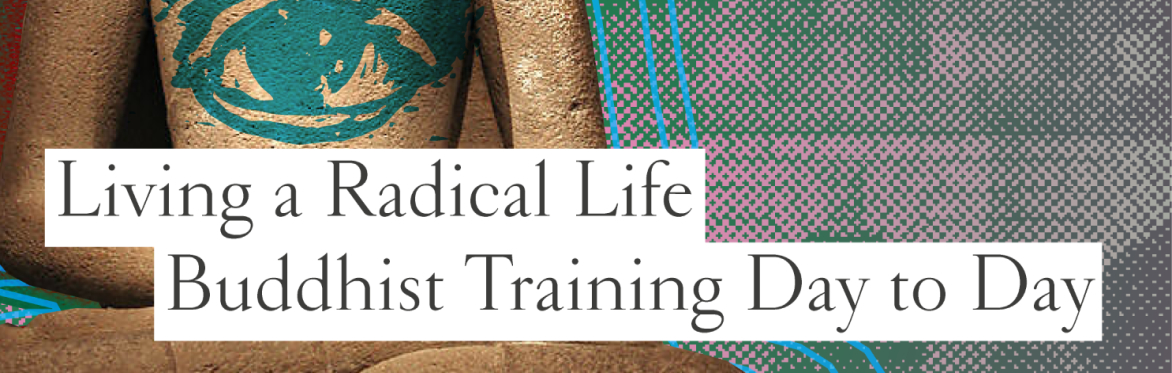 Living a Radical Life: Buddhist Training Day to Day