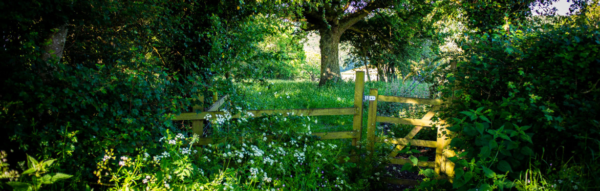 Woodland Yoga and Relaxation Retreat