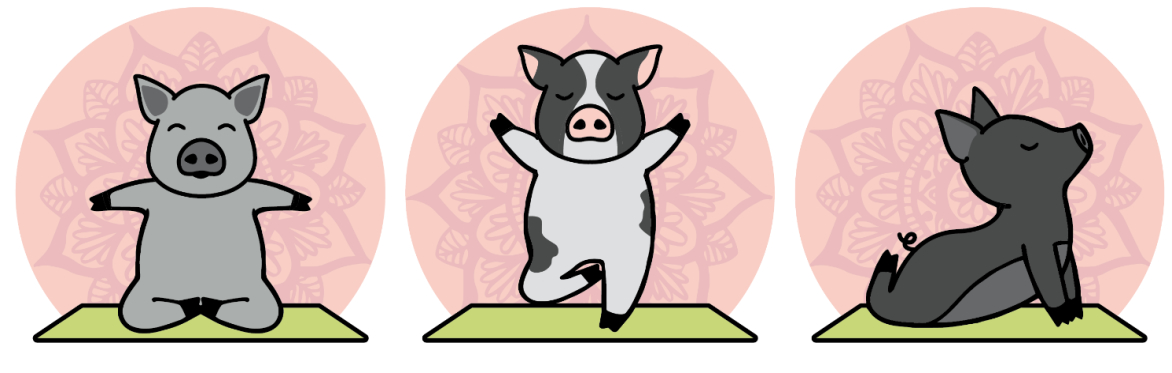 Pig Yoga