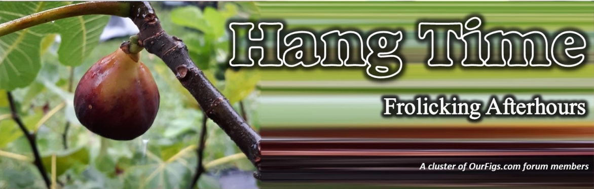 Hang Time: After Hours Frocking (for OurFigs members only)